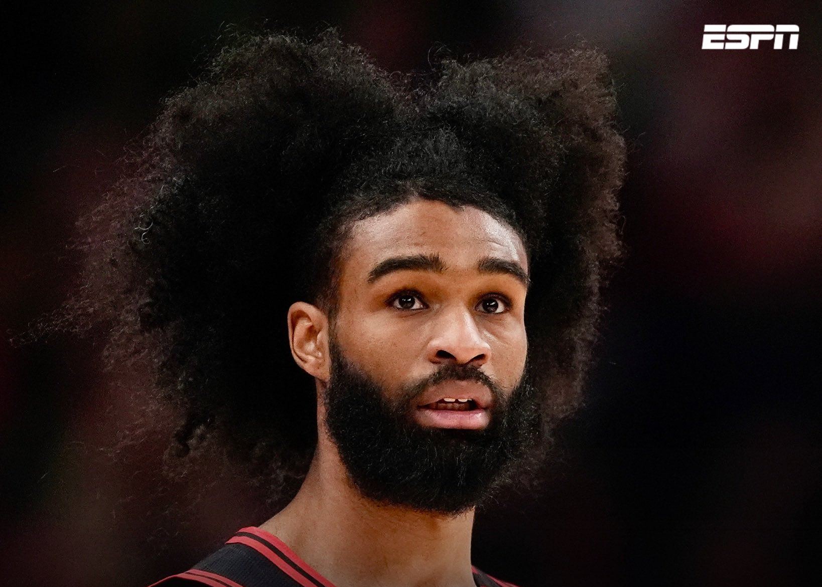 Shams: Coby White wird heute zum ersten Mal der Saison gegen die Jazz auf den Platz zurückkehren
