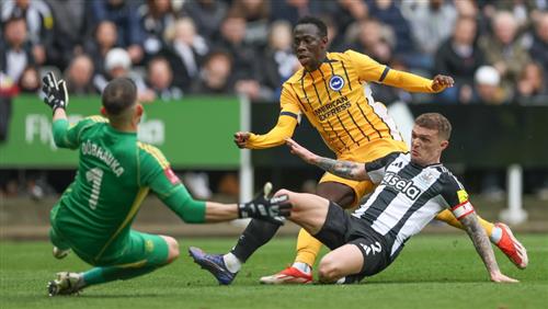 Newcastle United gegen Brighton