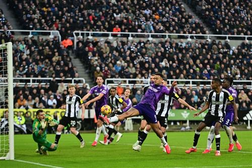 Newcastle United gegen Fulham