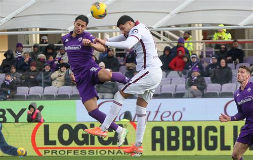 Fiorentina gegen Turin