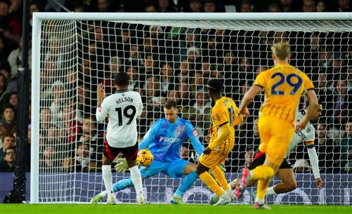 Fulham gegen Brighton