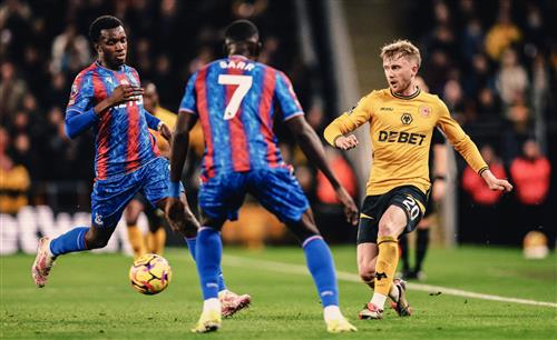 Wölfe gegen Crystal Palace