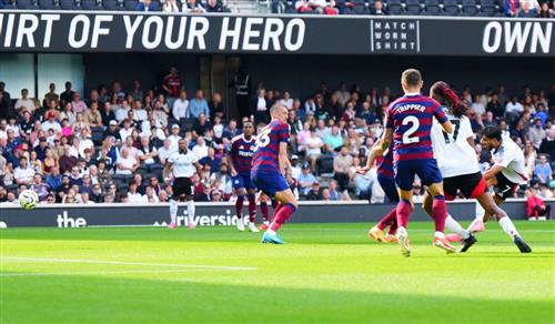 Fulham gegen Newcastle United