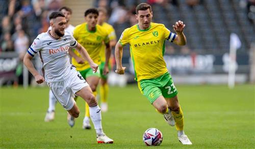 Swansea City gegen Norwich City
