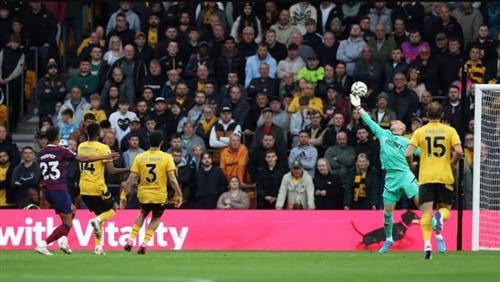 Wolves gegen Newcastle United