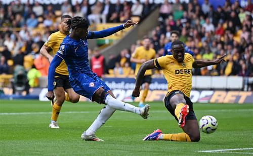Wölfe gegen Chelsea