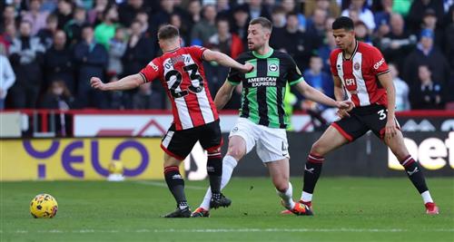 Sheffield United gegen Brighton