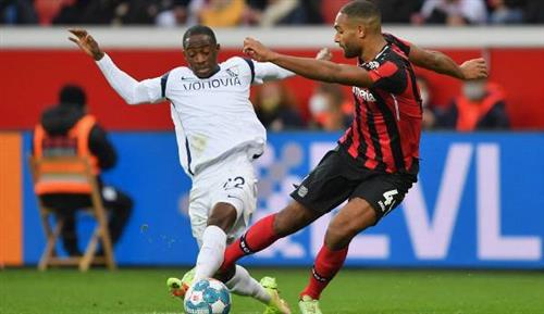 Historische Ergebnisse Leverkusen vs. Bochum