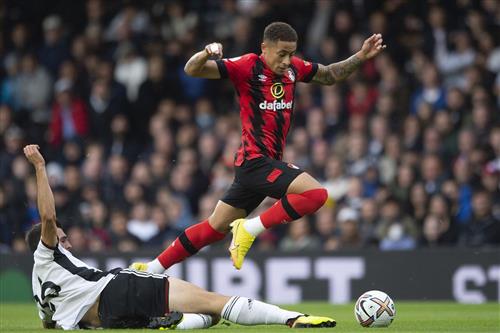 Bournemouth gegen Fulham