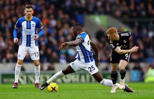 Brighton gegen Fulham