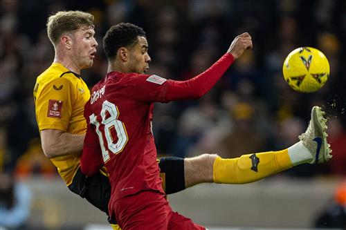 Wölfe gegen Liverpool